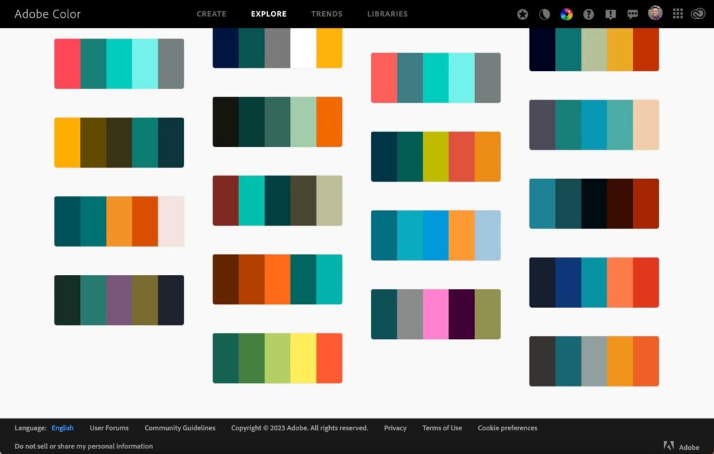 Free services like Adobe Color can help you find and select a color palette where each selection compliments the others to form a nice overall look for your assisted living website.
